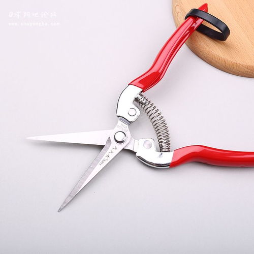 引領電商視覺升級 專業產品拍攝與頁面設計服務